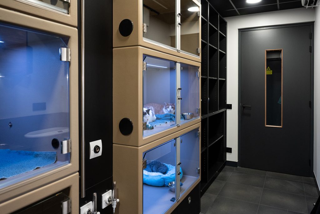 Dierenkliniek Tiel-Drumpt: De katten- en frettenopname