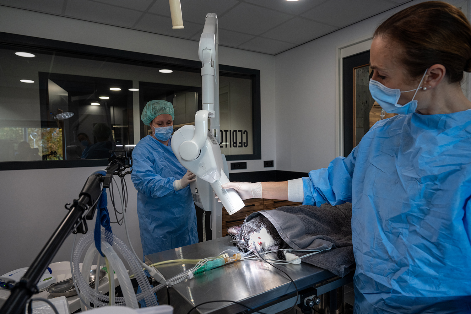 hero afbeelding diagnostiek