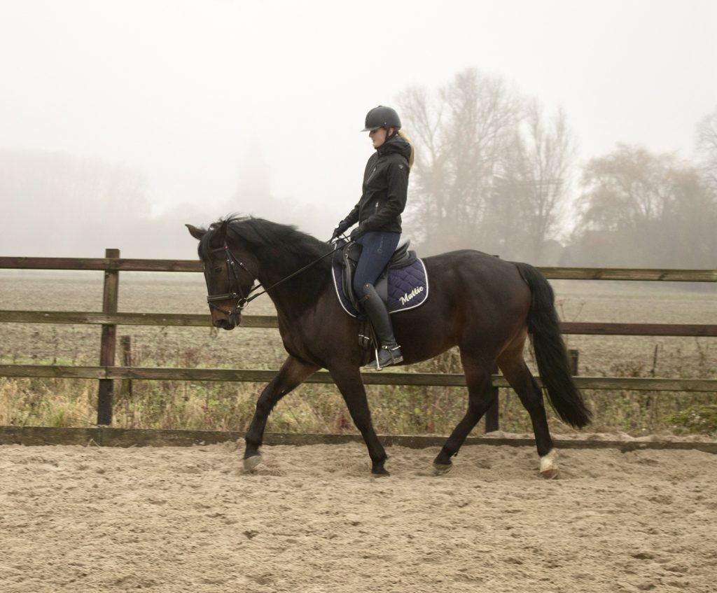 Dierenkliniek Tiel-Drumpt: Stagiaire Laura