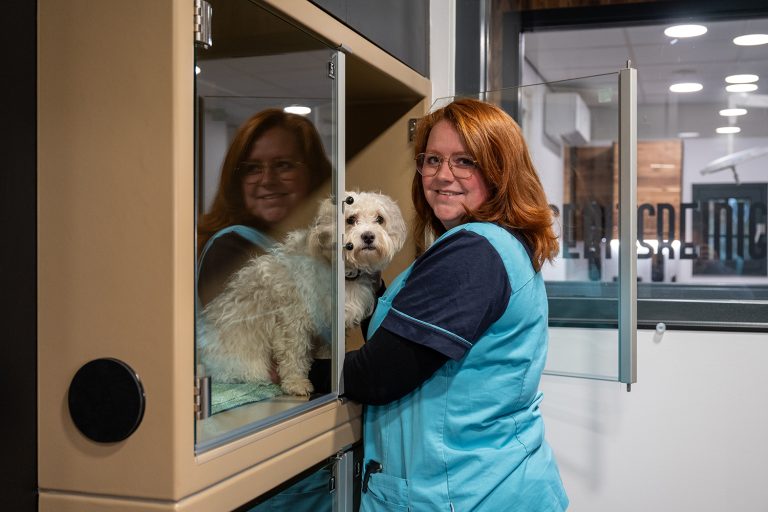 afbeelding Dierenarts voor Wamel