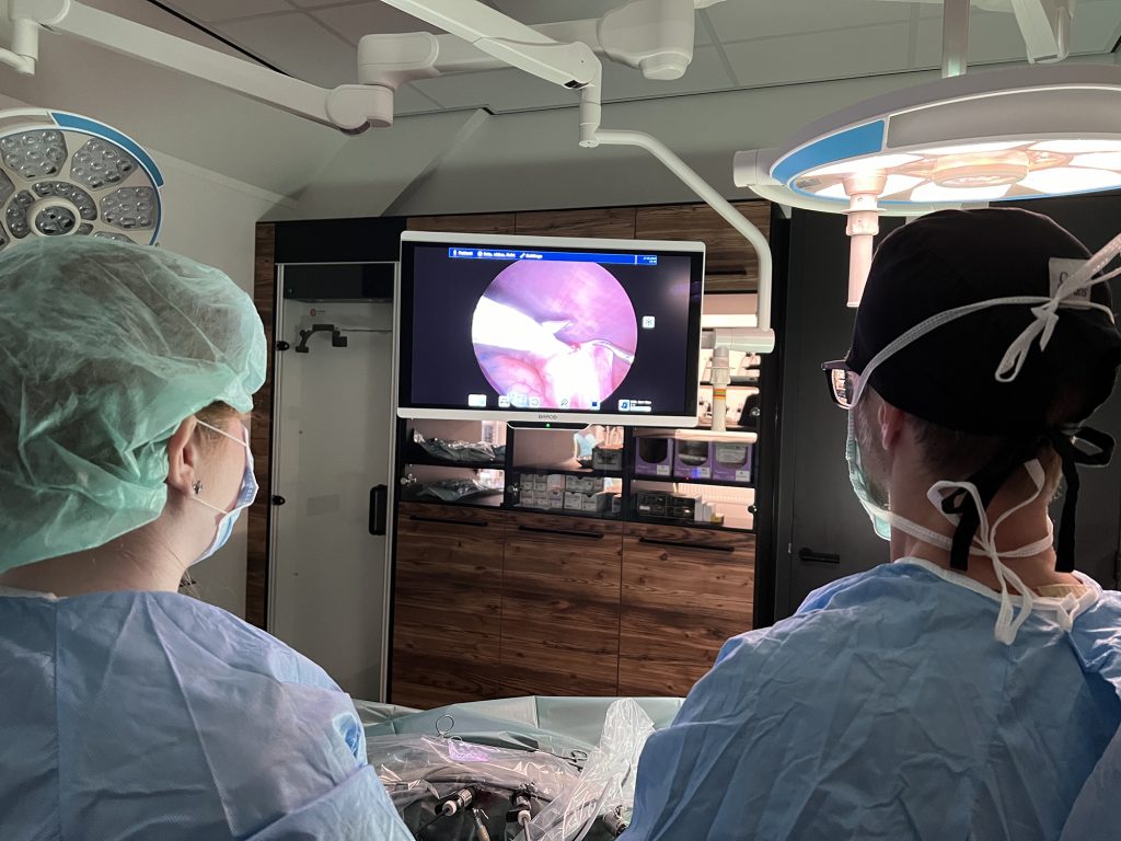 Dierenkliniek Tiel-Drumpt: Laparoscopische sterilisatie