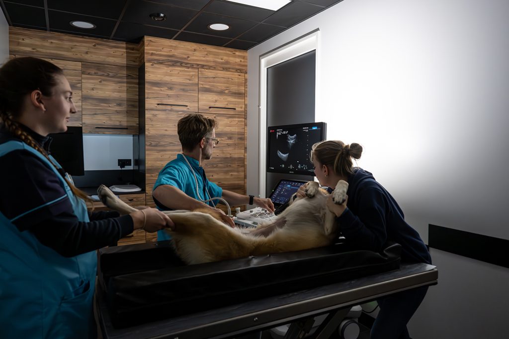 Dierenkliniek Tiel-Drumpt: spreekkamers/behandelkamers: De Echokamer ookwel spreekkamer 3,5 genoemd