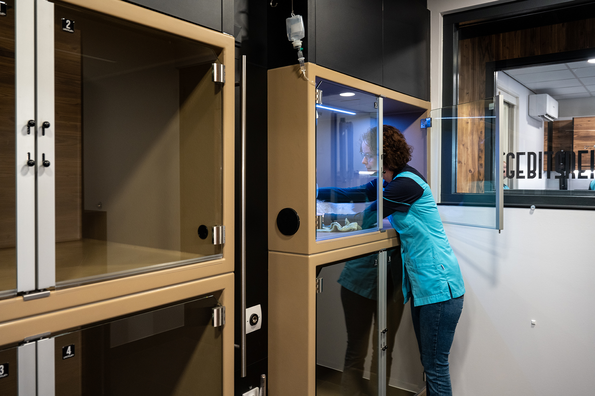 hero afbeelding diagnostiek