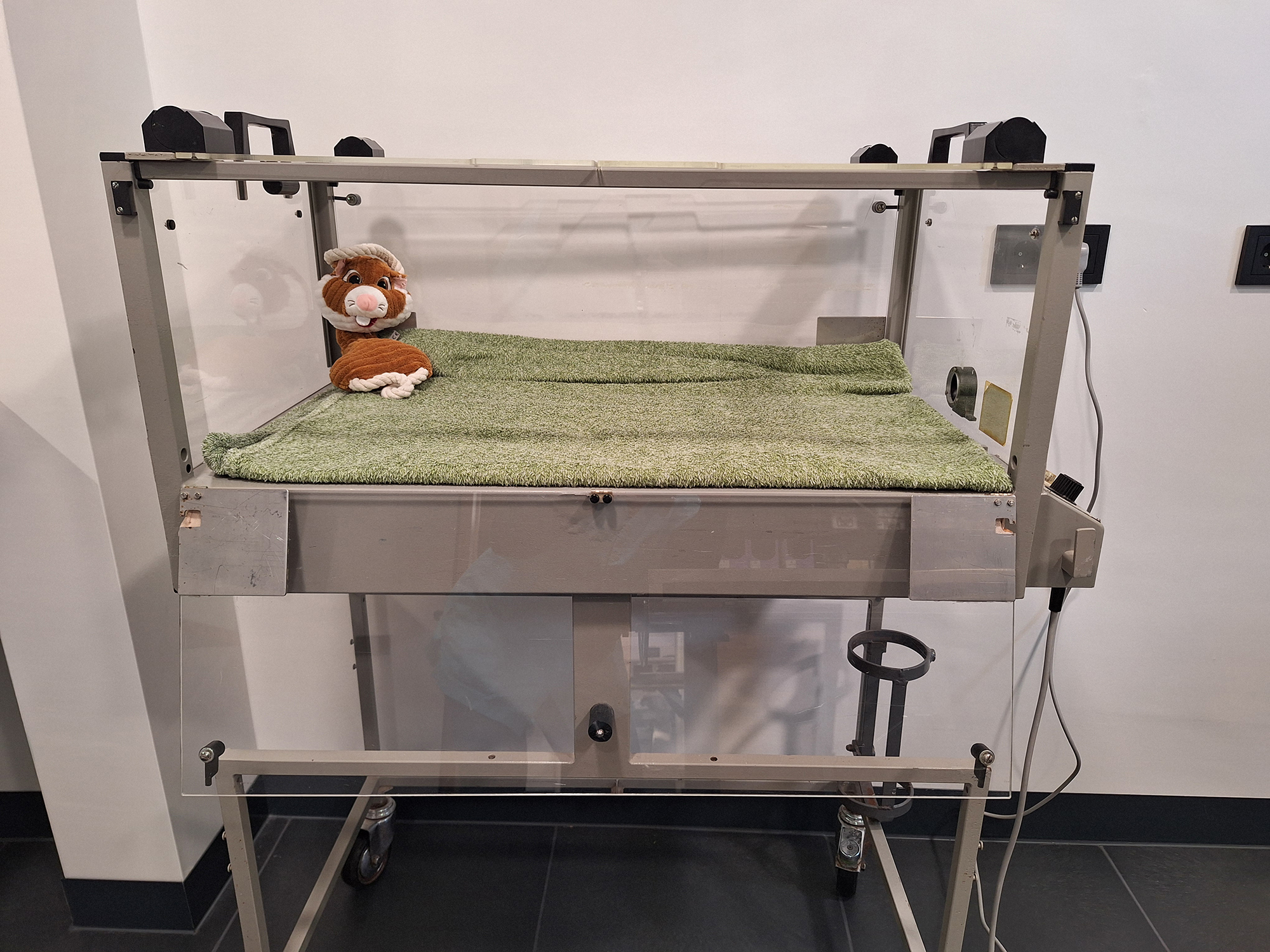 hero afbeelding diagnostiek