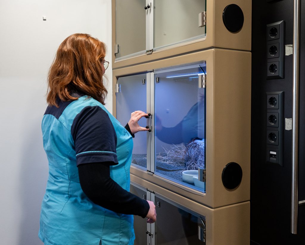 Dierenkliniek Tiel-Drumpt: De opname voor konijnen, cavia's en andere knaagdieren.