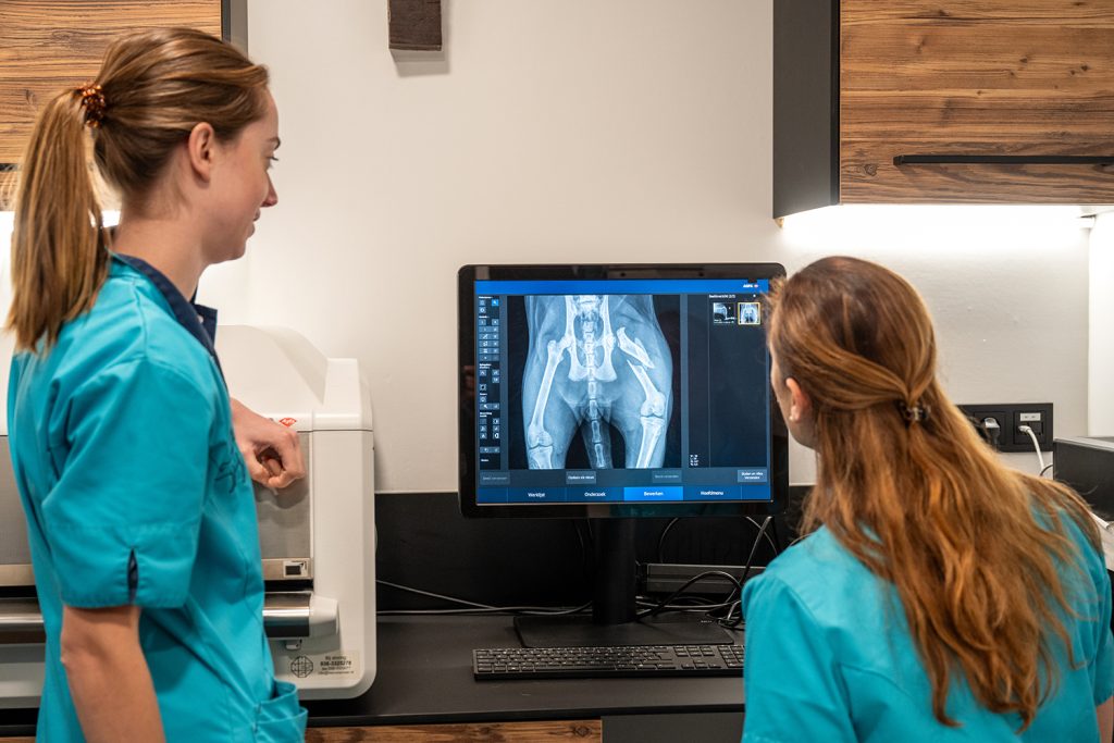 afbeelding De röntgenkamer