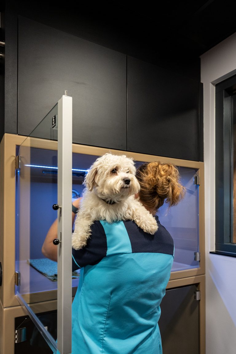 afbeelding Dierenarts voor Maurik