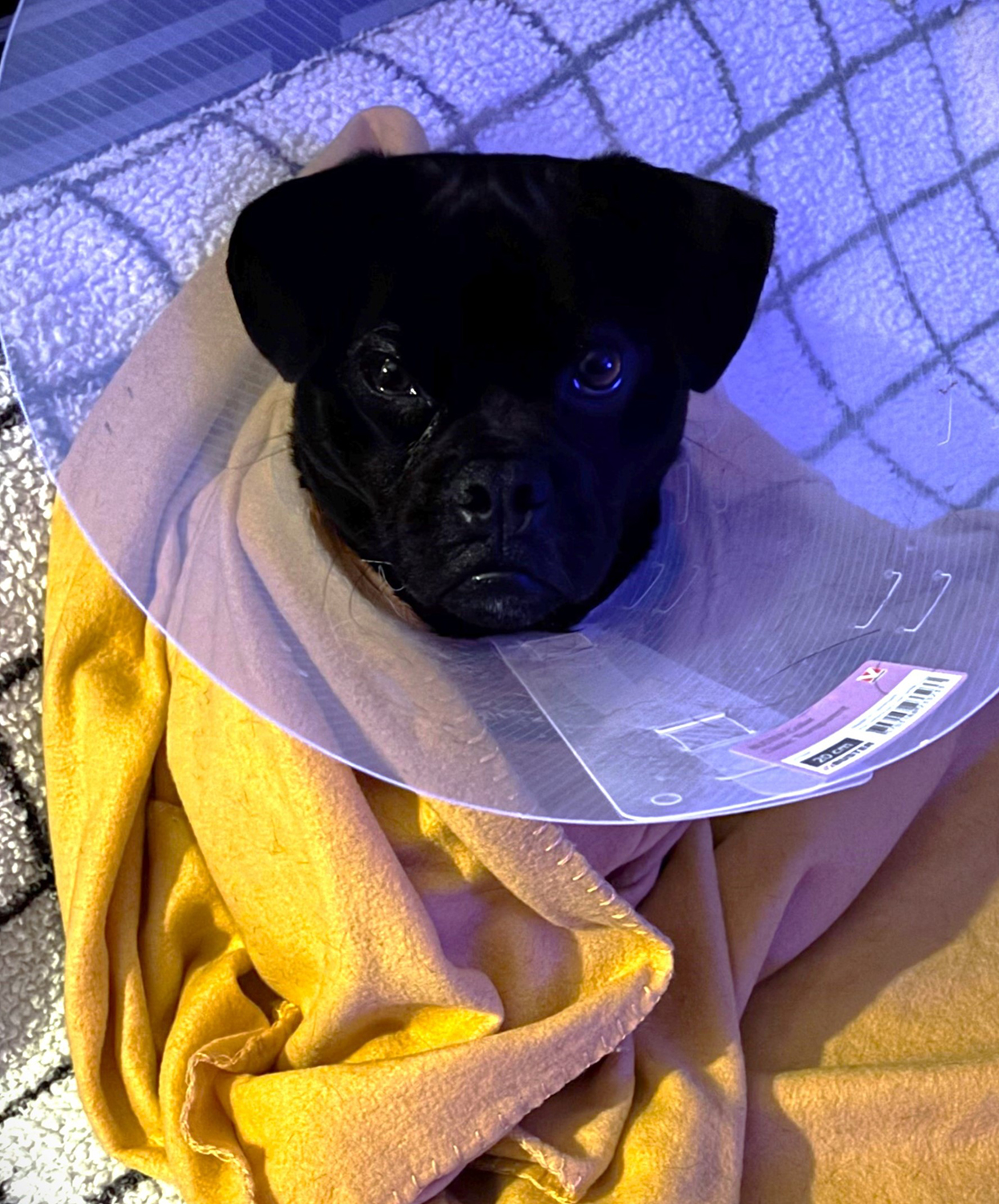 hero afbeelding blog