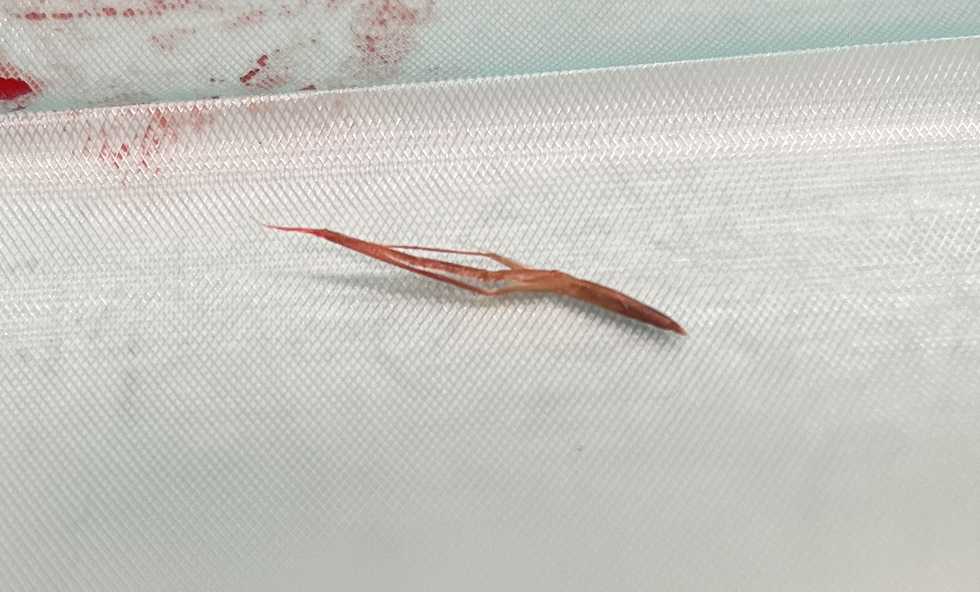 hero afbeelding blog