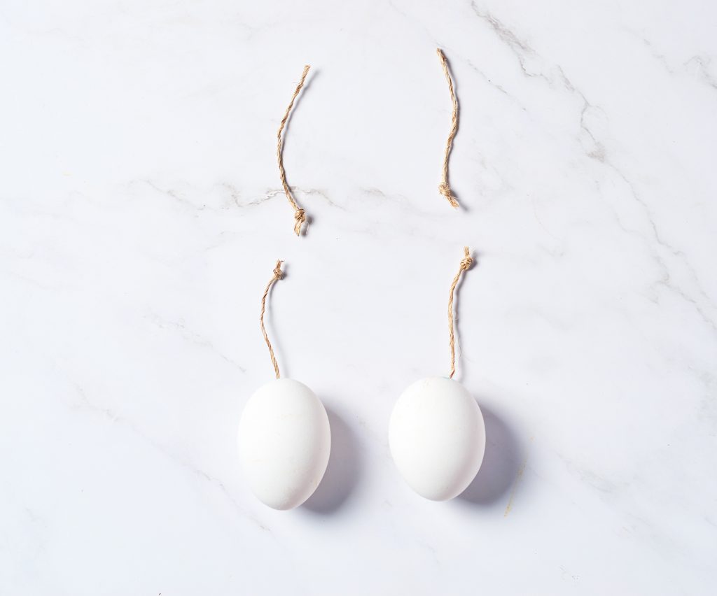 Dierenkliniek Tiel-Drumpt: Castratie of sterilisatie