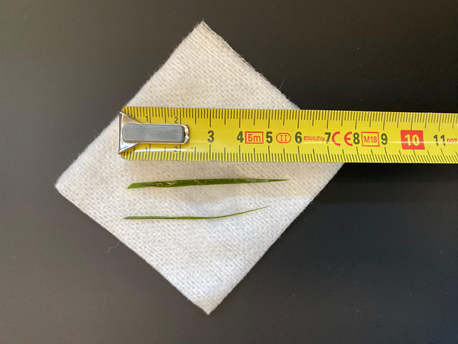 hero afbeelding blog