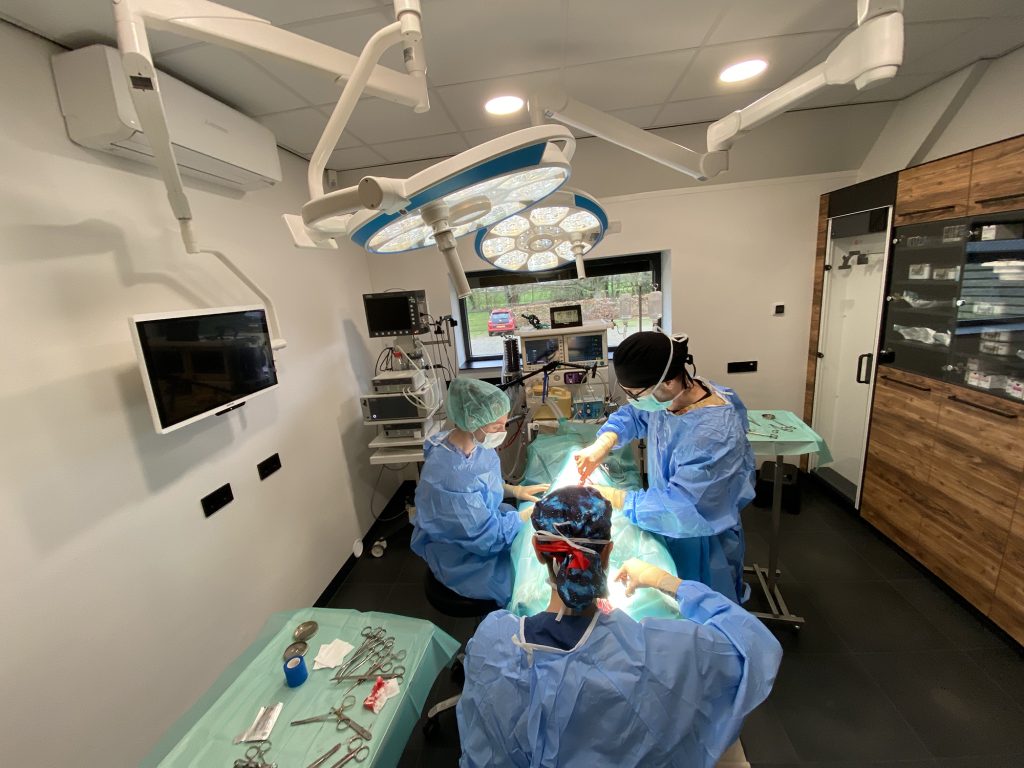 Dierenkliniek Tiel-Drumpt: operatiekamer