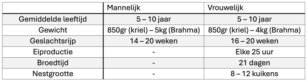 Dierenkliniek Tiel-Drumpt: tabel voor de kip