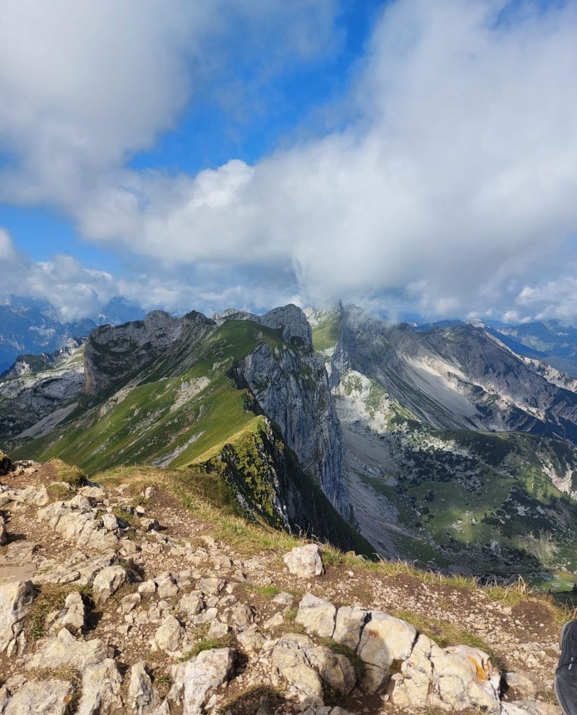 Dierenkliniek Tiel-Drumpt: Hobby dierenarts Babeth van Loon