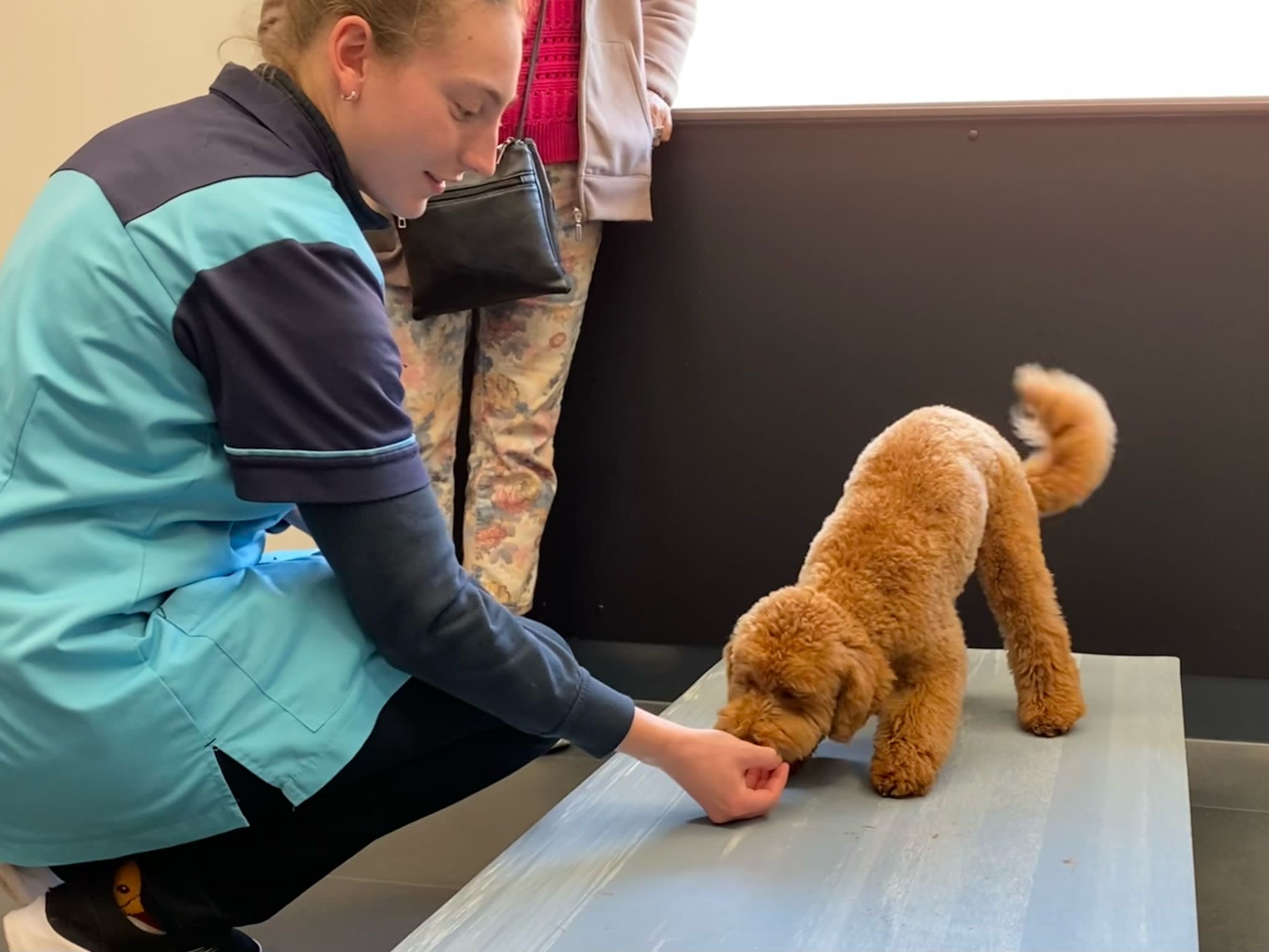 hero afbeelding diagnostiek