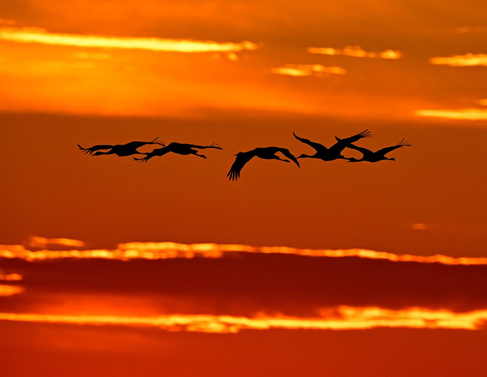 hero afbeelding blog