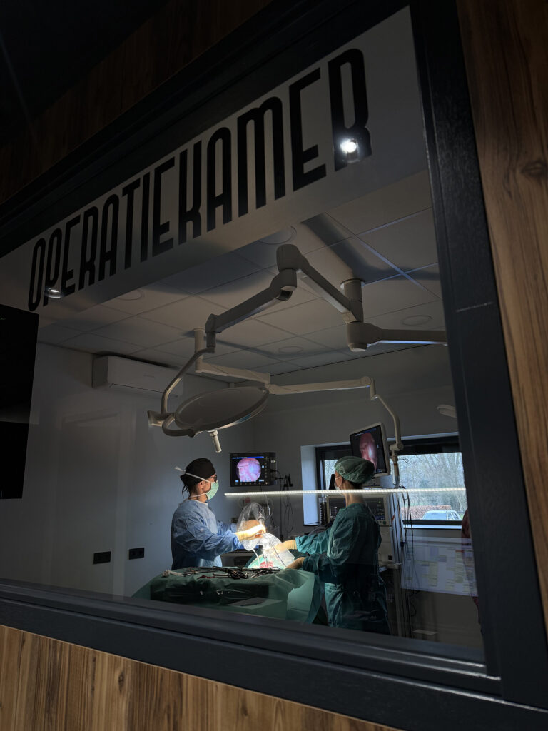 afbeelding Behandelingen