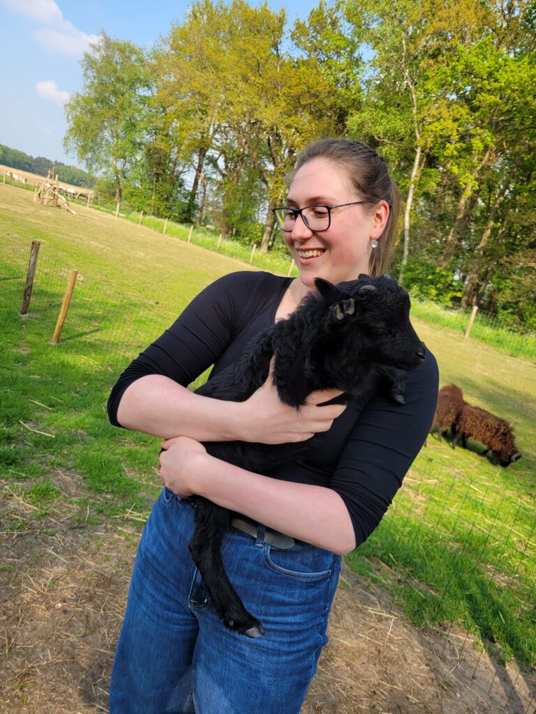 hero afbeelding werknemers