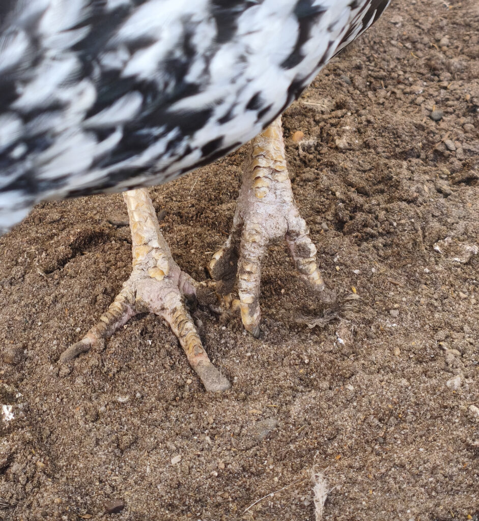 hero afbeelding ziekten