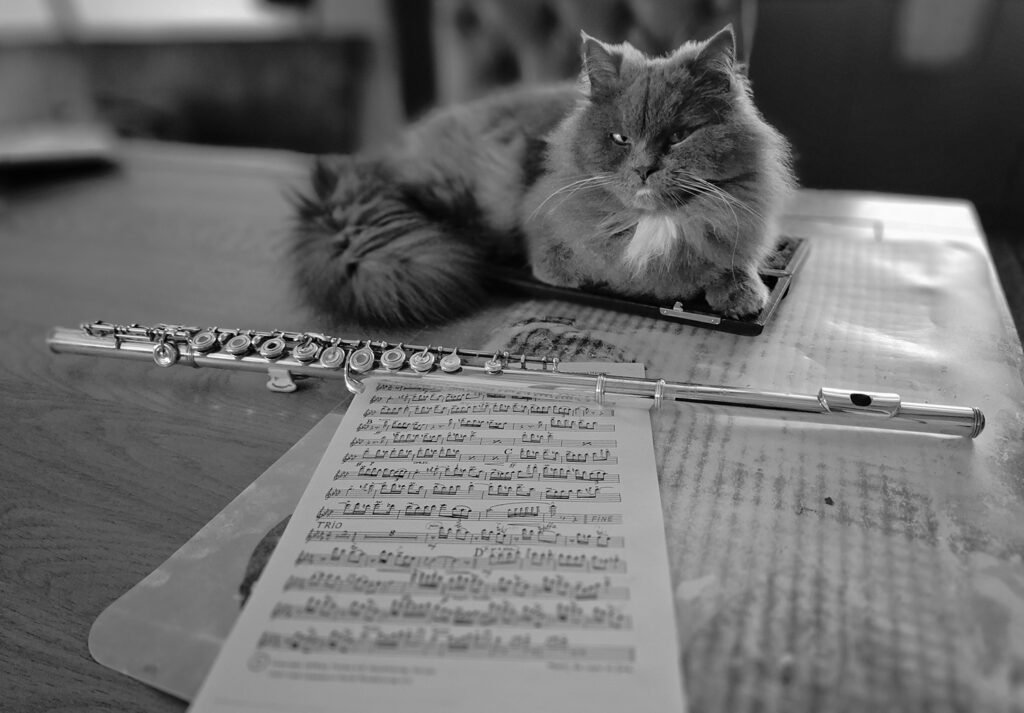 Dierenkliniek Tiel-Drumpt: Hobby Josina: Bink, de kat, ligt bij de muziekstukken.