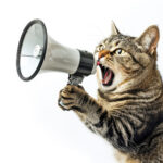 Krolsheid bij de kat, wat houdt dit in?