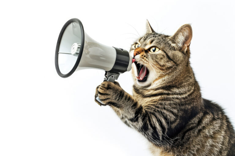 afbeelding Krolsheid bij de kat, wat houdt dit in?